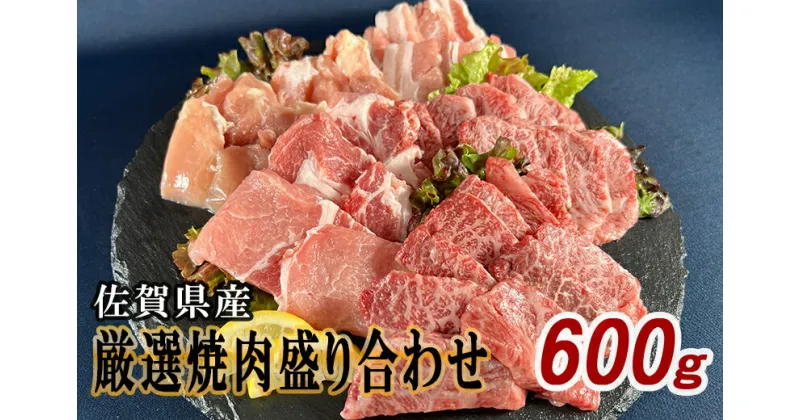 【ふるさと納税】佐賀県産厳選5種焼肉盛り合わせ　600g（2～3人前） J1048