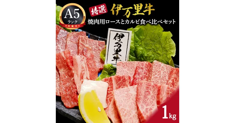 【ふるさと納税】特選伊万里牛（A5）焼肉用ロースとカルビ食べ比べセット 1kg J1102