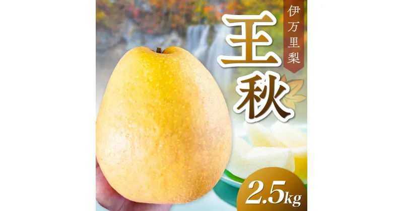 【ふるさと納税】【 数量限定 】 伊万里梨 王秋 2.5kg 令和6年産 B532