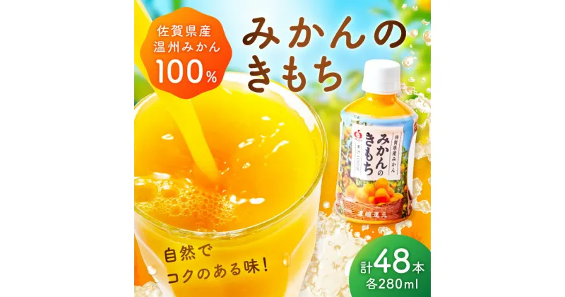 【ふるさと納税】【佐賀県産温州みかん100%使用】 みかんジュース みかんのきもち 280ml×24本入り 2箱セット A039