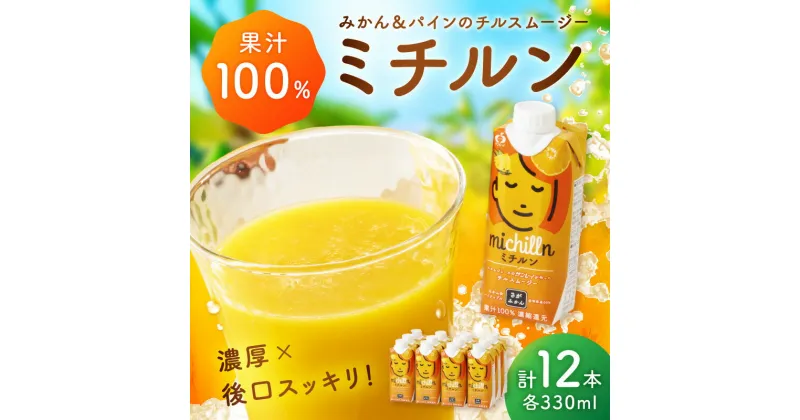 【ふるさと納税】【佐賀県産温州みかん使用】 果汁 ミックスジュース　ミチルン　330ml×12本 A043