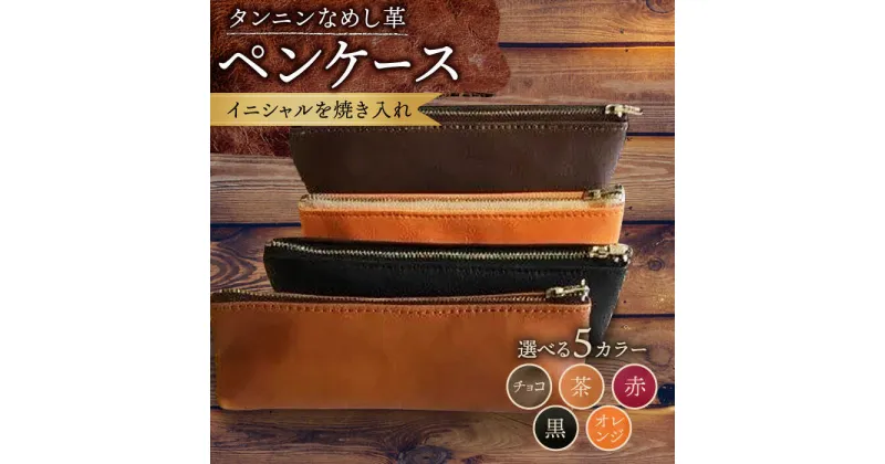 【ふるさと納税】【5色から選べる】人気商品！ 本革 ペンケース 普通サイズ /BagShop36 [UAC018]