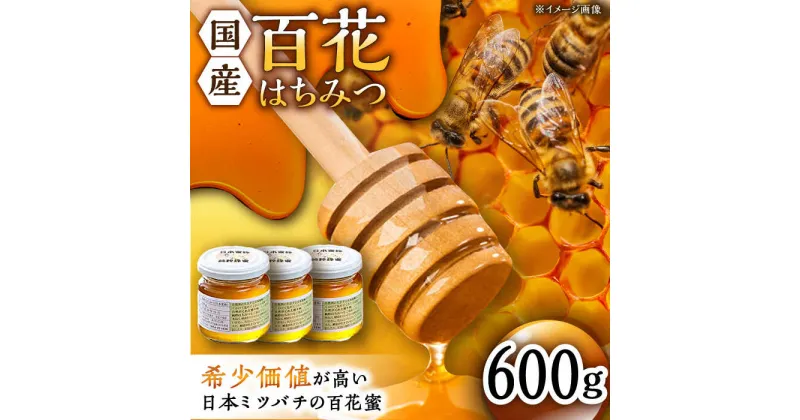 【ふるさと納税】日本蜜蜂 百花 はちみつ 計600g（200g×3）純粋蜂蜜 /永尾忠則 [UAS005] ハチミツ 蜂蜜 日本ミツバチ 国産