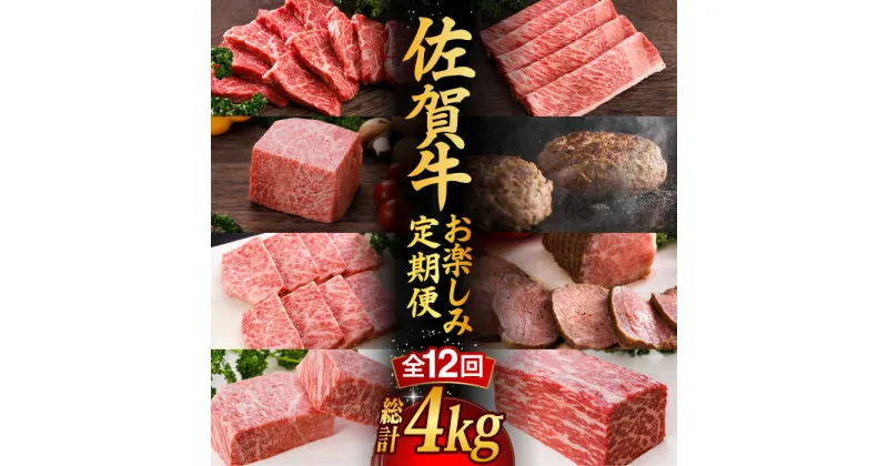 【ふるさと納税】【全12回】 A5ランク 佐賀牛 高級 霜降り 食べ比べ 定期便 約2人前 総計4kg 20万 最高級 黒毛和牛 牛肉 武雄市 焼肉どすこい [UCC002]