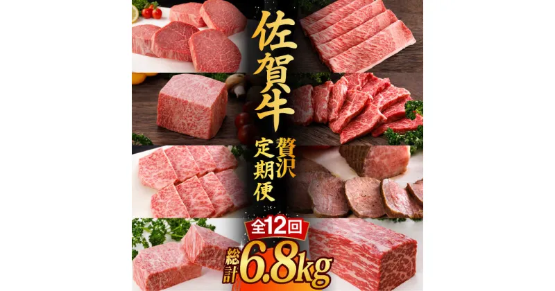 【ふるさと納税】【全12回】 A5ランク 佐賀牛 高級 霜降り 食べ比べ 定期便 約2-3人前 総計6.8kg 50万 最高級 黒毛和牛 牛肉 武雄市 焼肉どすこい [UCC004]