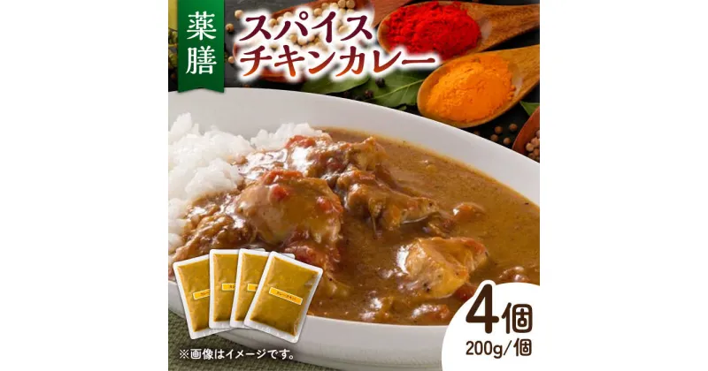 【ふるさと納税】32種のスパイス 薬膳スパイス チキンカレー /自然庵 [UCQ001]