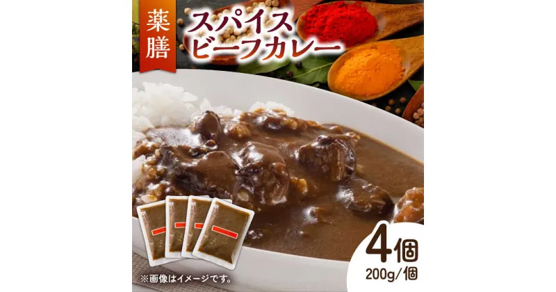 【ふるさと納税】32種のスパイス 薬膳スパイス ビーフカレー /自然庵 [UCQ002]