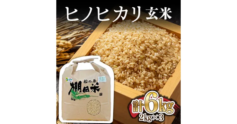 【ふるさと納税】令和6年産 新米 ヒノヒカリ 棚田玄米 6kg（3kg×2袋） 栽培期間中 農薬不使用 /永尾忠則 [UAS006] 米 お米 特別栽培米 玄米