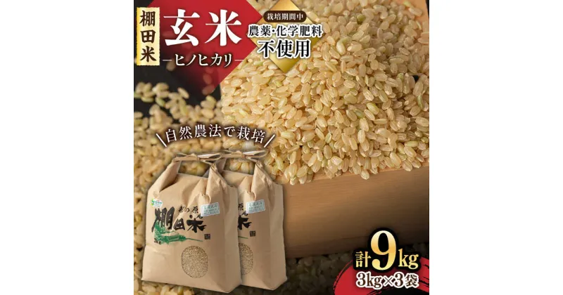 【ふるさと納税】令和6年産 新米 自然農法で育てた 佐賀県産 棚田玄米ヒノヒカリ 9kg（3kg×3袋） /永尾忠則 [UAS007] 米 お米 特別栽培米 玄米