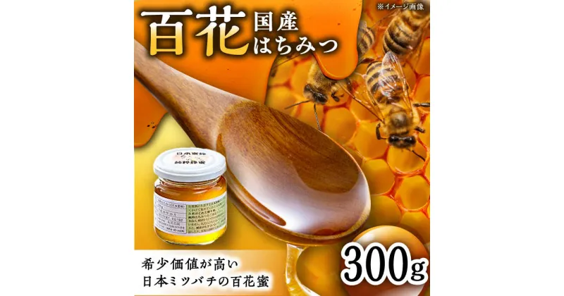 【ふるさと納税】日本蜜蜂 百花 はちみつ 300g /永尾忠則 [UAS009] ハチミツ 蜂蜜 日本ミツバチ 国産