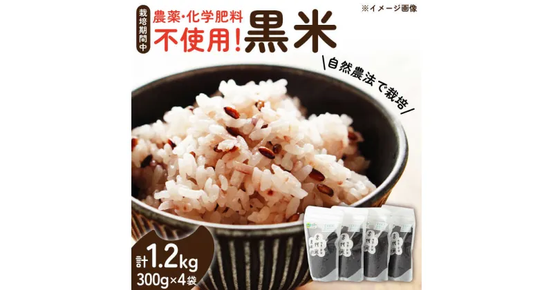 【ふるさと納税】自然農法で育てた 古代米 黒米 1.2kg（300g×4袋） /永尾忠則 [UAS010] 雑穀 雑穀米 お米 米