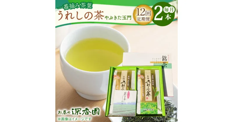 【ふるさと納税】【12回定期便】一番摘み茶葉使用 うれしの茶 2本入（やぶきた 玉門 100g×2本） /お茶の深香園[UAF009] 茶 お茶 緑茶 茶葉