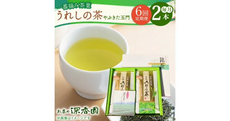 【ふるさと納税】【6回定期便】一番摘み茶葉使用 うれしの茶 2本入（やぶきた 玉門 100g×2本） /お茶の深香園[UAF008] 茶 お茶 緑茶 茶葉