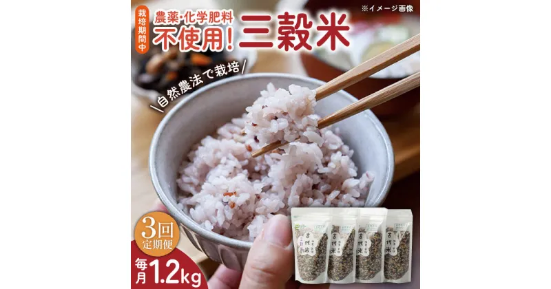 【ふるさと納税】【3回定期便】自然農法で育てた 三穀米 1.2kg（300g×4袋） /永尾 忠則[UAS014] 雑穀 雑穀米 お米 米