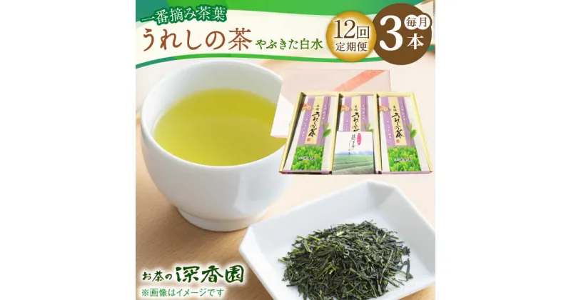 【ふるさと納税】【12回定期便】一番摘み茶葉使用 うれしの茶 3本入（やぶきた 白水 100g×3本） /お茶の深香園[UAF013] 茶 お茶 緑茶 茶葉