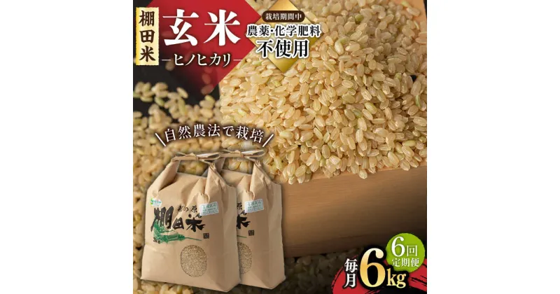 【ふるさと納税】【11月発送開始】【6回定期便】令和6年産 新米 自然農法で育てた棚田米 ヒノヒカリ 玄米 6kg（3kg×2袋）/永尾 忠則[UAS012] 米 お米 特別栽培米 玄米