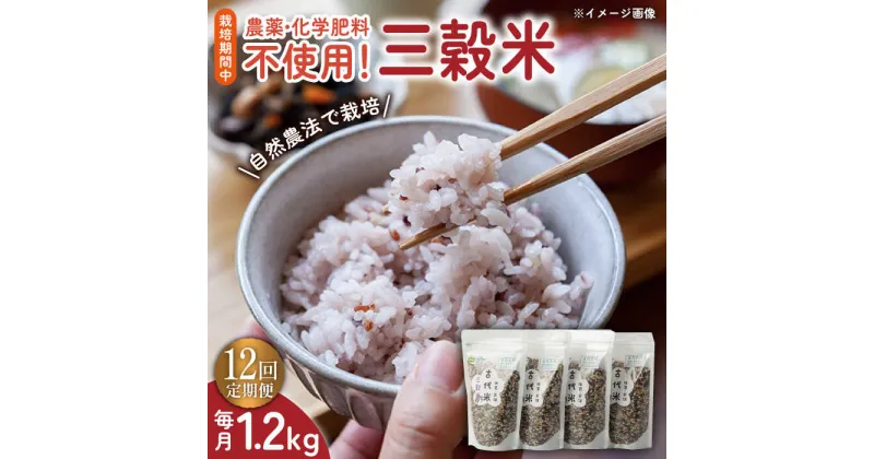 【ふるさと納税】【12回定期便】自然農法で育てた 三穀米 1.2kg（300g×4袋）/永尾 忠則[UAS016] 雑穀 雑穀米 お米 米