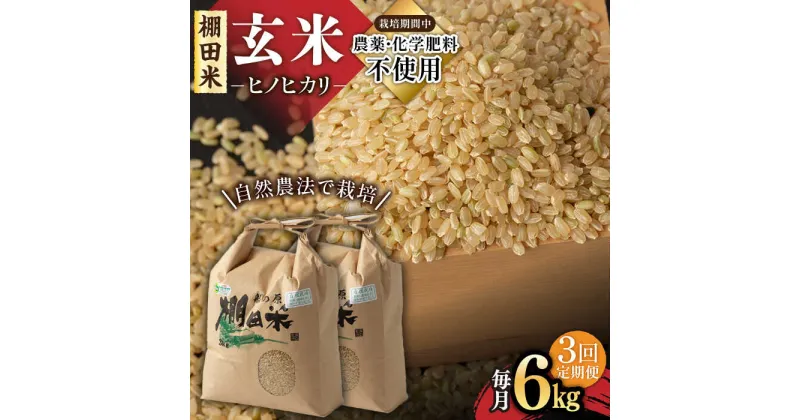 【ふるさと納税】【11月発送開始】【3回定期便】令和6年産 新米 自然農法で育てた棚田米 ヒノヒカリ 玄米 6kg（3kg×2袋）/永尾 忠則[UAS011] 米 お米 特別栽培米 玄米