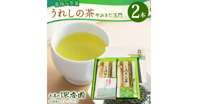 【ふるさと納税】一番摘み茶葉使用 うれしの茶 2本入（やぶきた 玉門 100g×2本） /お茶の深香園[UAF006] 茶 お茶 緑茶 茶葉