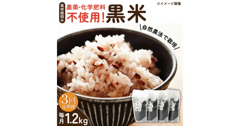 【ふるさと納税】【3回定期便】自然農法で育てた 古代米 黒米 1.2kg（300g×4袋）/永尾 忠則[UAS017] 雑穀 雑穀米 お米 米