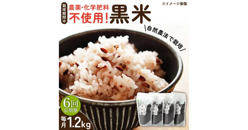 【ふるさと納税】【6回定期便】自然農法で育てた 古代米 黒米 1.2kg（300g×4袋）/永尾 忠則[UAS018] 雑穀 雑穀米 お米 米