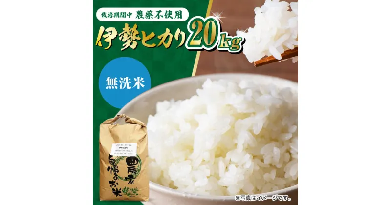 【ふるさと納税】【11月以降順次発送】栽培期間中農薬不使用 令和6年産 新米 伊勢ヒカリ（イセヒカリ） 精米（無洗米） 20kg /鶴ノ原北川農園[UDL010]