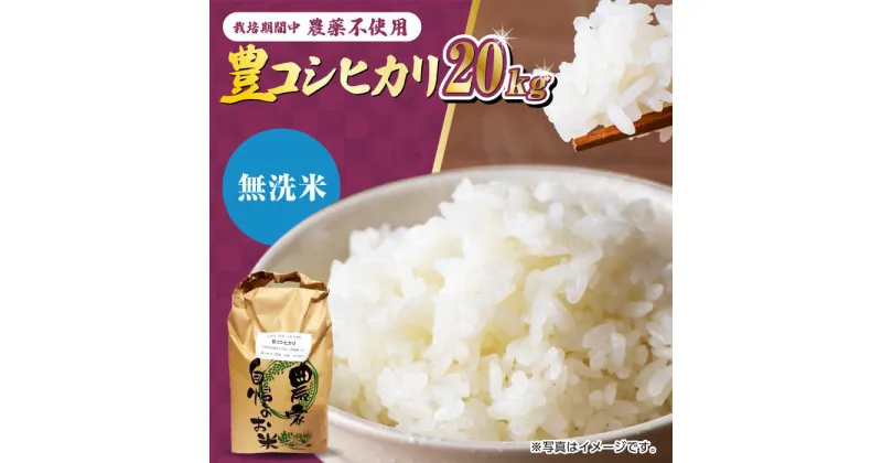 【ふるさと納税】【11月以降順次発送】栽培期間中農薬不使用 令和6年産 新米 豊コシヒカリ 精米（無洗米） 20kg /鶴ノ原北川農園[UDL020]