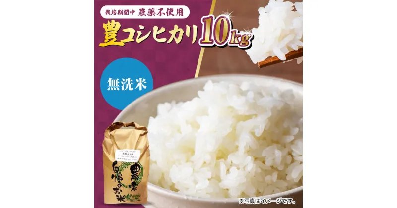 【ふるさと納税】【11月以降順次発送】栽培期間中農薬不使用 令和6年産 新米 豊コシヒカリ 精米（無洗米） 10kg /鶴ノ原北川農園[UDL019]