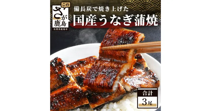 【ふるさと納税】うなぎの蒲焼 3尾 180〜200g×3 大型サイズ うなぎ 鰻 ウナギ 蒲焼き タレ付き 密封パック入り 佐賀 グルメ 佐賀県 鹿島市 冷蔵 贈答 送料無料 E-5