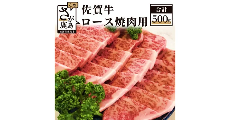 【ふるさと納税】高級肉 佐賀牛 ロース 焼肉用 500g 和牛 肉 佐賀 牛肉 佐賀県 鹿島市 冷凍 お中元 お歳暮 贈答品 プレゼント 敬老の日 父の日 母の日 ご褒美 満足 おすすめ 送料無料 E-29