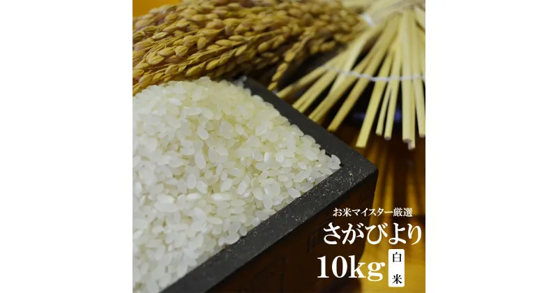 【ふるさと納税】【11月より発送開始】新米 令和6年産 佐賀県産 さがびより 10kg 白米 | ふるさと納税 米 お米 新米 精米 国産 佐賀県 鹿島市 ふるさと 人気 送料無料 B-20