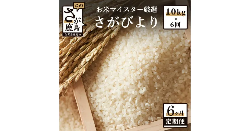 【ふるさと納税】【定期便】佐賀県産 さがびより 白米 お米 10kg × 6回 計60kg 《6ヶ月連続 毎月お届け》 | ふるさと納税 定期 米 お米 新米 精米 国産 佐賀県 鹿島市 ふるさと 人気 送料無料 J-3