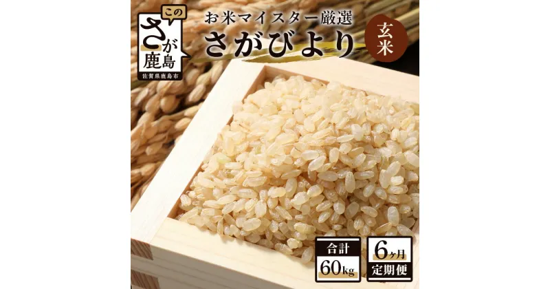 【ふるさと納税】【定期便】お米 6ヶ月定期 佐賀県産 さがびより 玄米 10kg × 6回 計60kg 《6ヶ月連続 毎月お届け》 |ふるさと納税 米 定期 お米 玄米 新米 精米 国産 佐賀県 鹿島市 ふるさと 人気 送料無料 J-4