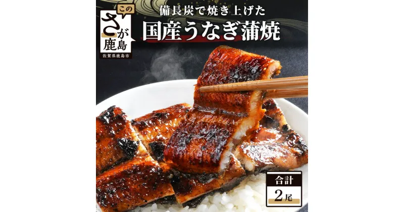 【ふるさと納税】うなぎ うなぎ蒲焼 2尾 180〜200g×2 大型サイズ 鰻 ウナギ 蒲焼き タレ付き 密封パック入り 佐賀県 鹿島市 冷蔵　D-6