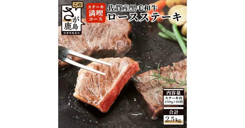 【ふるさと納税】熟成肉『ステーキ満喫』コース 佐賀県産 黒毛和牛 ロースステーキ 250g×10枚 合計2.5kg 和牛 肉 佐賀 牛肉 ステーキ 佐賀県 鹿島市 冷凍 送料無料 人気 V-7