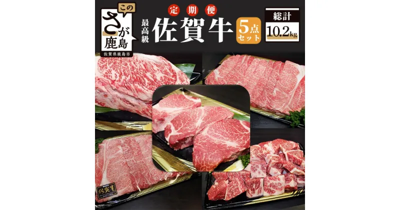 【ふるさと納税】【全3回定期便】佐賀牛 5点セット 総計10.2kg 和牛 佐賀 牛肉 牛 肉 佐賀産 佐賀県 鹿島市 年3回発送 冷凍 送料無料 W-3