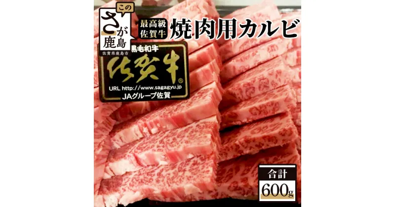 【ふるさと納税】最高級 ブランド牛 佐賀牛 カルビ 焼肉用 600g | ふるさと納税 佐賀牛 ブランド牛 牛肉 国産 牛 焼肉 焼き肉 カルビ 佐賀県 鹿島市 ふるさと 人気 送料無料 D-61