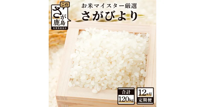 【ふるさと納税】【12ヶ月定期便】佐賀県産 さがびより 白米 10kg×12回 《12ヶ月連続 毎月お届け》 定期便 12か月 合計120kg 合計12回発送 お米 米 精米 国産 佐賀 九州産 佐賀県 鹿島市 送料無料 S-1