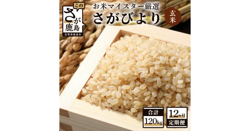 【ふるさと納税】【12ヶ月定期便】佐賀県産 さがびより 玄米 10kg×12回 《12ヶ月連続 毎月お届け》 定期便 12か月 合計120kg 合計12回発送 お米 九州 米 国産 九州産 佐賀県 鹿島市 送料無料 S-2