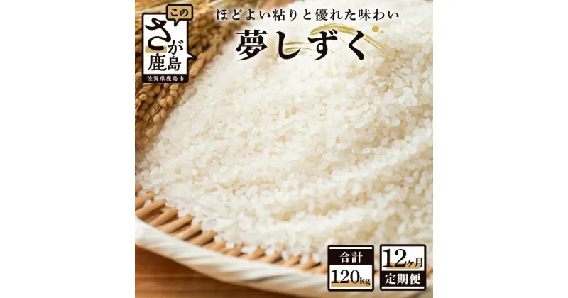 【ふるさと納税】定期便 12ヶ月 佐賀県産 夢しずく 白米 10kg《12ヶ月連続 毎月お届け》S-3 12回 令和6年産 S-3