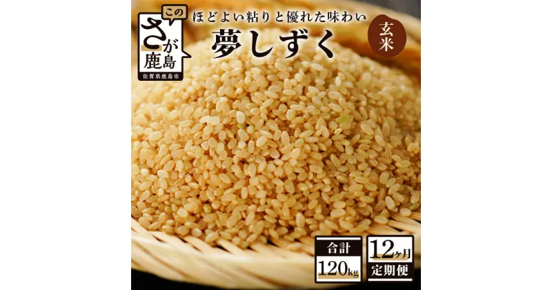 【ふるさと納税】【12か月定期便】佐賀県産 夢しずく 玄米 10kg×12回 合計120kg 《12ヶ月連続 毎月お届け》定期便 12回発送 毎月1回 米 お米 九州 令和6年産 国産 九州産 鹿島市 送料無料 S-4