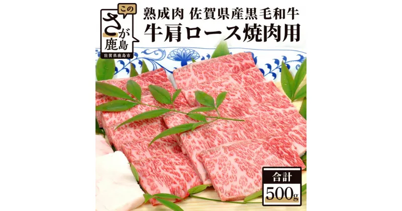 【ふるさと納税】熟成肉 佐賀県産 黒毛和牛 牛肩 ロース 焼肉用 500g 和牛 肉 佐賀 牛肉 佐賀県 鹿島市 冷凍 送料無料 E-49