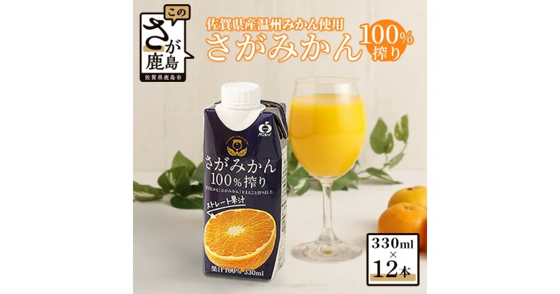 【ふるさと納税】サンレイ みかんジュース さがみかん 100%搾り 330ml × 12本 計3960ml | ふるさと納税 みかん ジュース 温州みかん 蜜柑 ミカン みかん 果汁 蜜柑 ミカン オレンジジュース オレンジ 国産 ふるさと 人気 安心安全 子供 喜ぶ 美味しい 貴重 おすすめ B-245