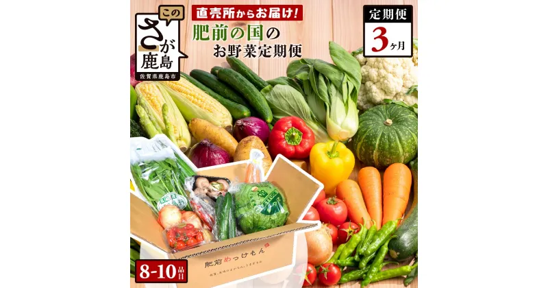 【ふるさと納税】【野菜ソムリエ選定】【定期便】【お届け曜日・時間帯指定可能】肥前の国 野菜 定期便 3回 3ヶ月 定番 野菜 8品目 季節 野菜 2品目 計8～10品目 | ふるさと納税 野菜 定期便 やさい 野菜 セット 詰め合わせ 国産 佐賀県 鹿島市 ふるさと 人気 送料無料 D-77