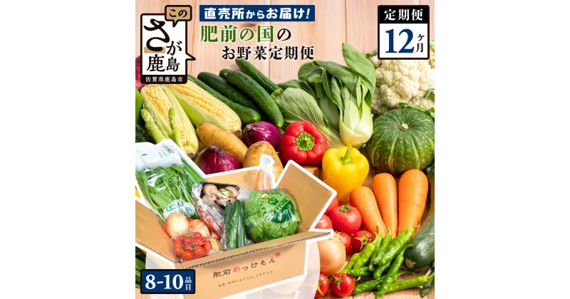 【ふるさと納税】【定期便】【野菜ソムリエ選定】肥前の国 野菜 定期便 12回 8~12品目 定番野菜を中心にお届け | ふるさと納税 野菜 定期便 定期 やさい 野菜 フルーツ 果物 セット 詰め合わせ 旬 新鮮 産地直送 大容量 ふるさと 佐賀県 鹿島市 人気 送料無料 J-14