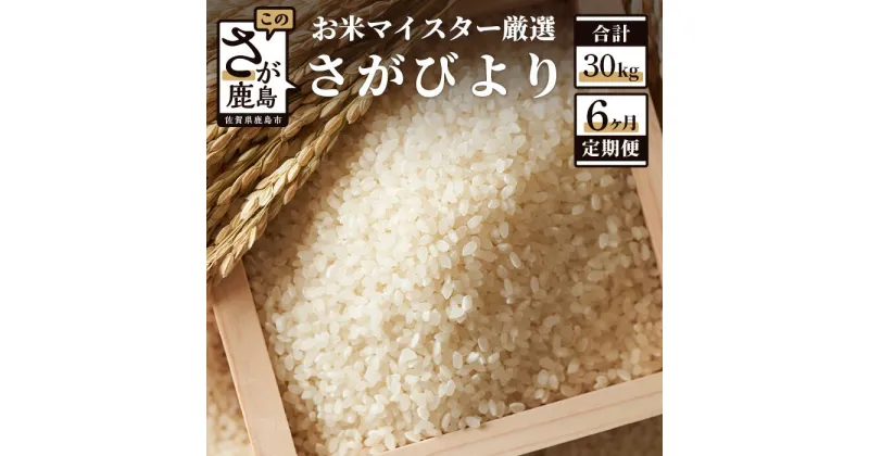 【ふるさと納税】【定期便】佐賀県産 さがびより 白米 お米 5kg × 6回 計30kg 《6ヶ月連続 毎月お届け》 |ふるさと納税 米 定期 お米 新米 精米 国産 佐賀県 鹿島市 ふるさと 人気 送料無料 F-28