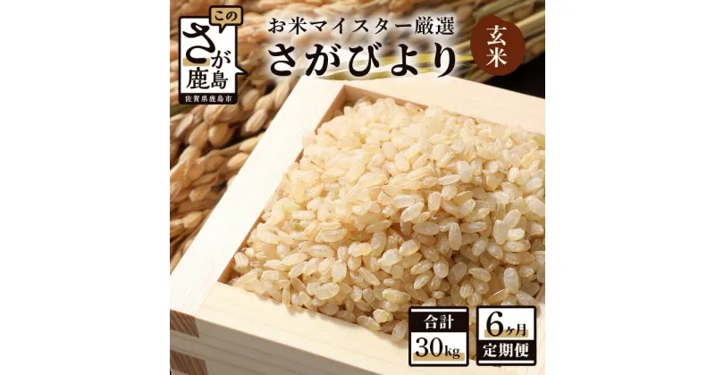 【ふるさと納税】【6ヶ月定期便】佐賀県産 さがびより 玄米 5kg×6回 《6ヶ月連続 毎月お届け》定期便 6か月 合計30kg 合計6回発送 お米 九州 米 国産 九州産 佐賀県 鹿島市 送料無料 F-29