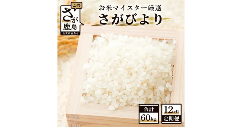 【ふるさと納税】【定期便】佐賀県産 さがびより 白米 お米 5kg × 12回 計60kg 《12ヶ月連続 毎月お届け》 | ふるさと納税 米 定期 お米 新米 精米 国産 佐賀県 鹿島市 ふるさと 人気 送料無料 K-4