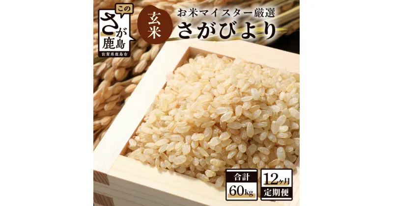 【ふるさと納税】【12ヶ月定期便】佐賀県産 さがびより 玄米 5kg×12回 《12ヶ月連続 毎月お届け》 定期便 12か月 合計60kg 合計12回発送 お米 九州 米 国産 九州産 佐賀県 鹿島市 送料無料 K-5