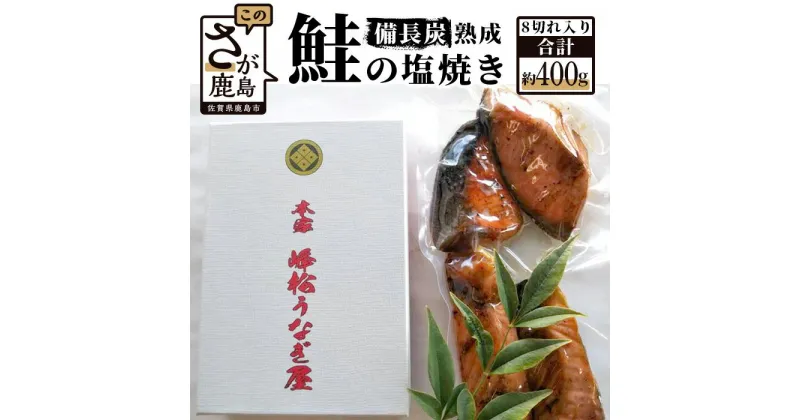 【ふるさと納税】備長炭で手焼きした 【鮭の塩焼き】 合計8切入り (4切入り×2パック) さけ 鮭 サケ 塩焼き 佐賀県 鹿島市 送料無料 AA-8